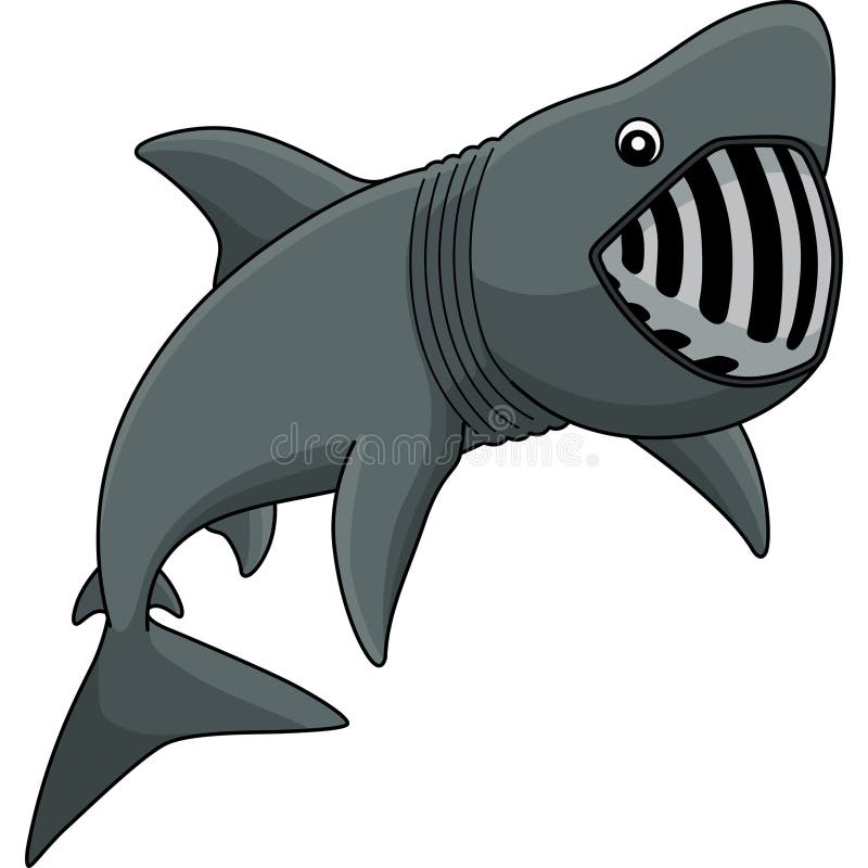 Basking Shark Cartoon Colored Clipart Illustration Stock Illustration