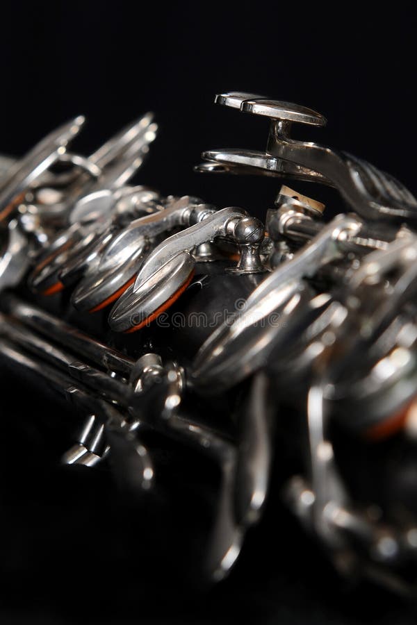 Bass on White Background Stock Photo Image of woodwind