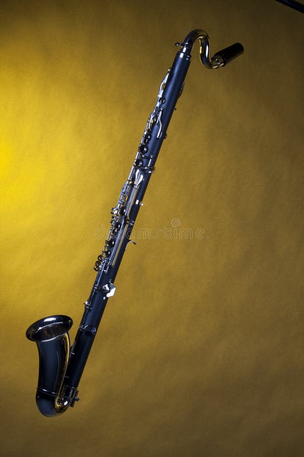 The Bass stock photo. Image of jeans, caucasian 45384776