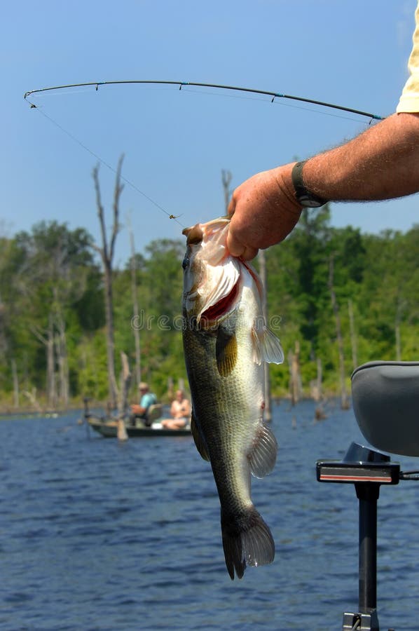 274 Woman Fishing Pole Rod Reel Stock Photos - Free & Royalty-Free Stock  Photos from Dreamstime