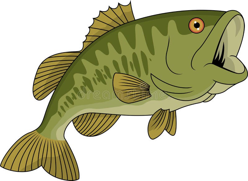 Bass fish cartoon.