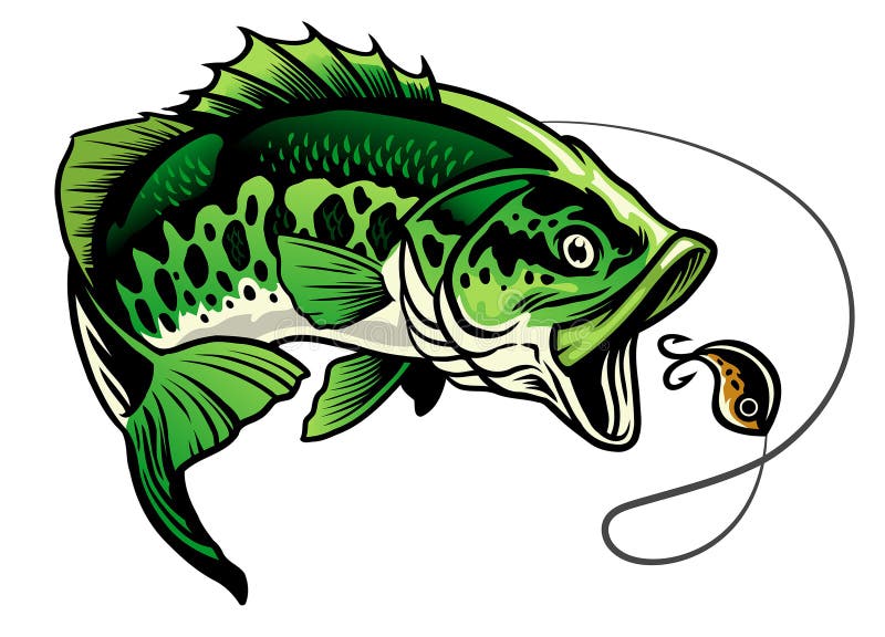 Bass Fish Cartoon Images / Fishing sea salmon ocean water chicken tuna