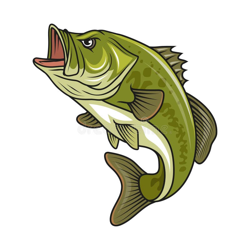 Large Mouth Bass Fish Realistic Stock Illustrations – 16 Large Mouth ...