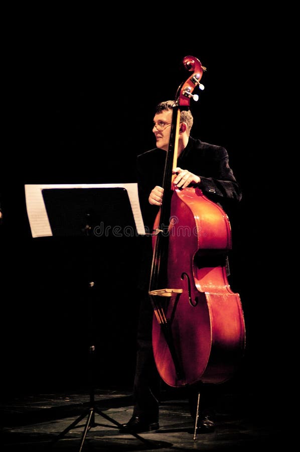 Bass Player editorial photography. Image of blissful 71193862