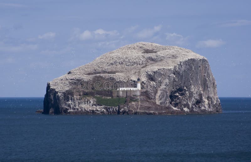 Bass Rock stock photos Bass Rock stock photos