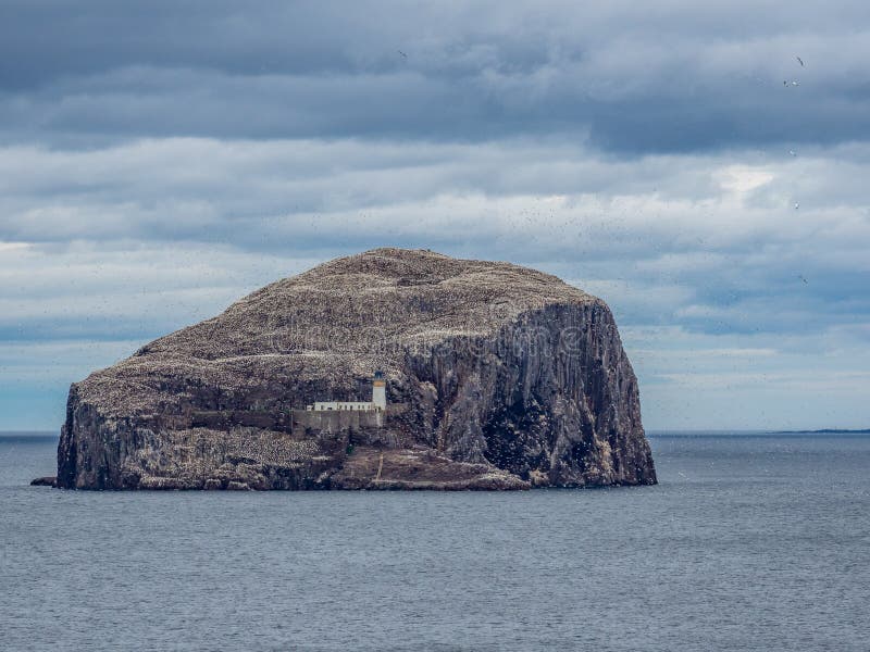 The Bass Rock. View from the southeast coast near North Berwick. Scotland stock photography The Bass Rock. View from the southeast coast near North Berwick. Scotland stock photography