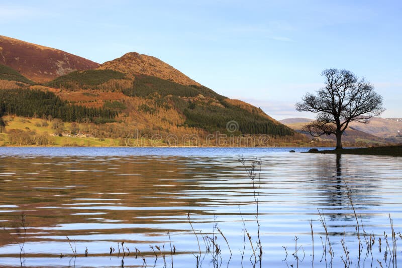 Lake District National Park Stock Image - Image of landscapes, european ...