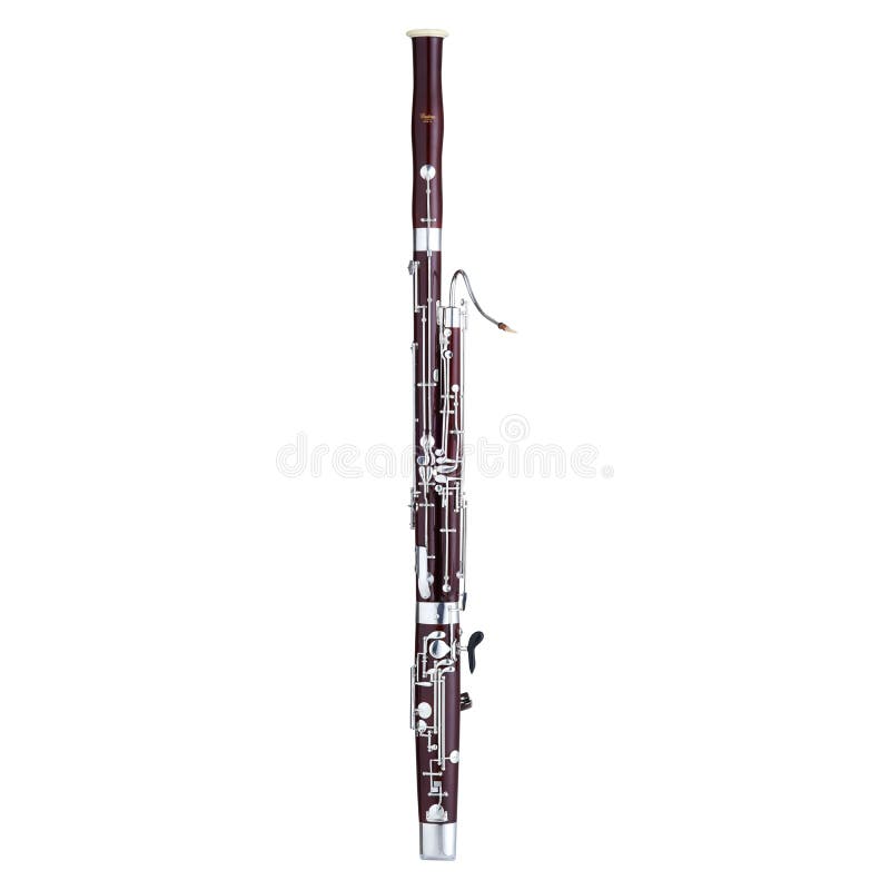 Bassoon, Bassoons, Classical Music Instrument Isolated on White background, Woodwinds, Musician