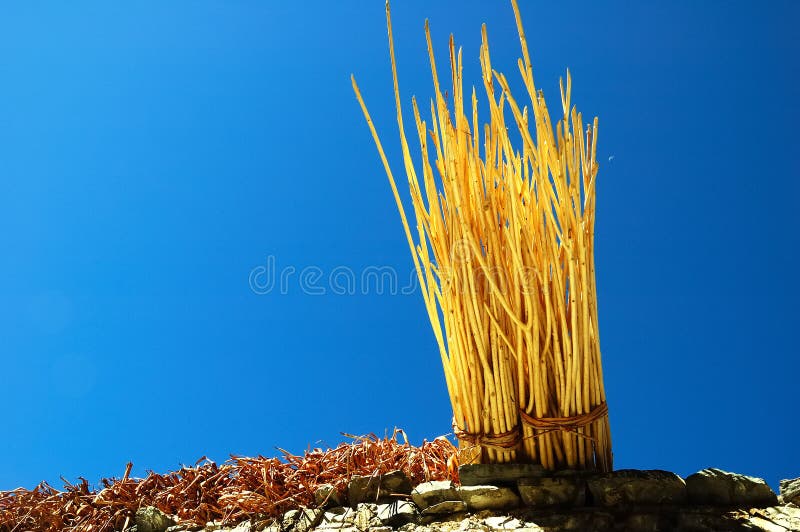 BASTONI DI LEGNO fotografia stock BASTONI DI LEGNO fotografia stock