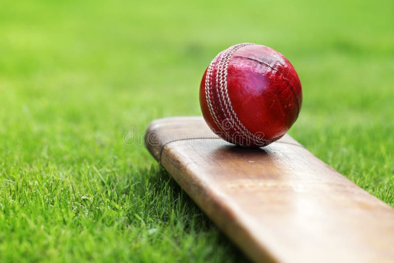 Cricket ball resting on a cricket bat on green grass of cricket pitch. Cricket ball resting on a cricket bat on green grass of cricket pitch