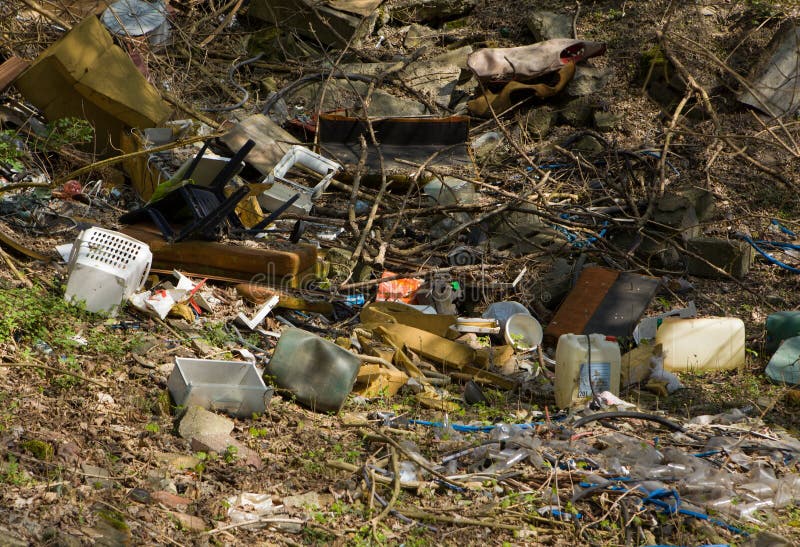 Basura en el bosque - descarga en el bosque imagenes de archivo Basura en el bosque - descarga en el bosque imagenes de archivo
