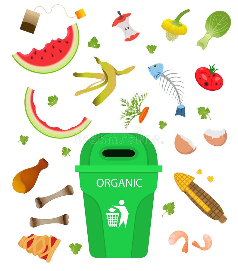 Bote De Basura Con Residuos Orgánicos Aptos Para El Reciclaje. Segregar Los  Residuos, Clasificar La Basura, Gestionar Los Residuos. Residuos De  Alimentos En Contenedor Orgánico Ilustraciones svg, vectoriales, clip art  vectorizado libre