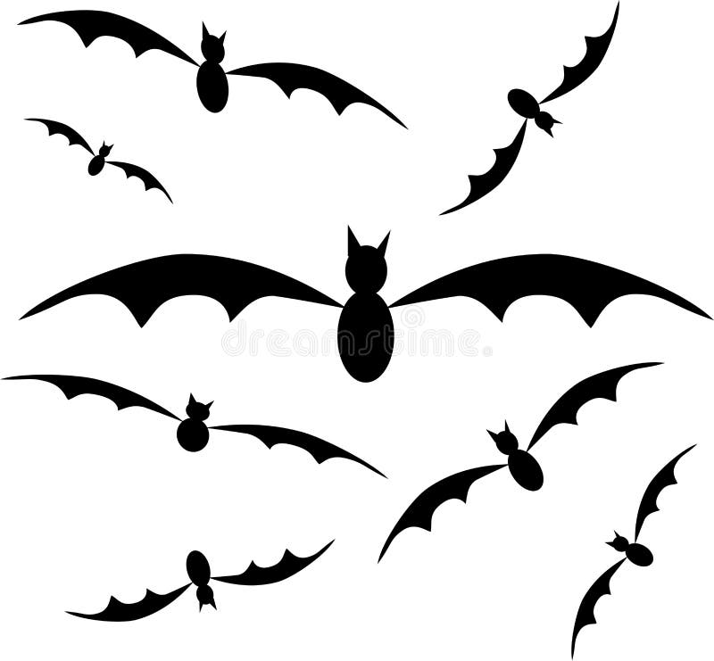 Bat vector illustration