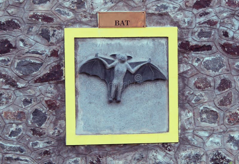 Bat engraving stock photo. Image of creature, wings, scary 61208394