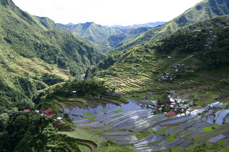 Batad Filippine dei terrazzi del riso di Ifugao