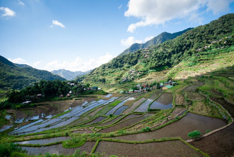 Batad-Reisterrassen, Banaue, Ifugao, Philippinen Stockfoto - Bild von