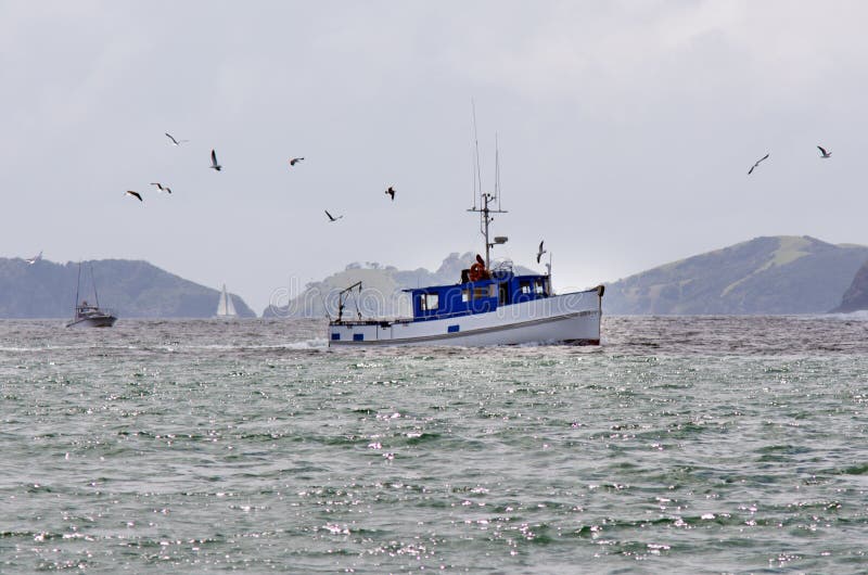Bateau de pêche à la baie des îles Nouvelle-Zélande photographie stock libre de droits Bateau de pêche à la baie des îles Nouvelle-Zélande photographie stock libre de droits