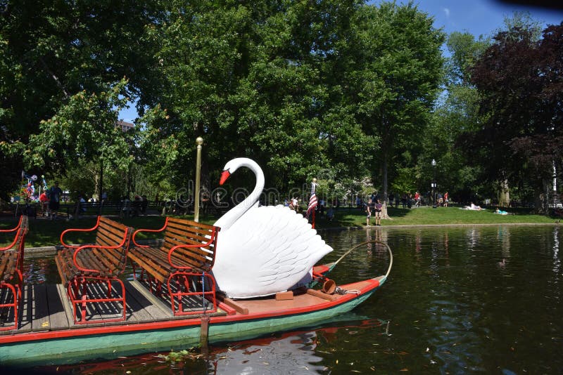 Bateaux de cygne au jardin public à Boston, le Massachusetts images libres de droits Bateaux de cygne au jardin public à Boston, le Massachusetts images libres de droits