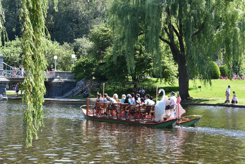 Bateaux de cygne au jardin public à Boston, le Massachusetts images stock Bateaux de cygne au jardin public à Boston, le Massachusetts images stock
