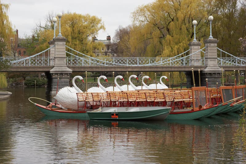 Bateaux de cygne dans le terrain communal de Boston photos stock Bateaux de cygne dans le terrain communal de Boston photos stock