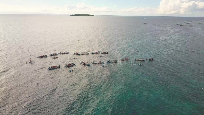 Bateaux de vue aérienne avec les personnes de touristes pour alimenter le requin de baleine sauvage flottant en mer Navigation de banque de vidéos