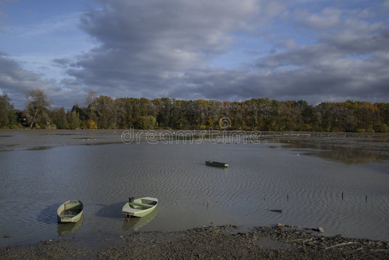Bateaux sur l'étang vidangeant l'étang photo stock Bateaux sur l'étang vidangeant l'étang photo stock