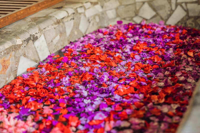 Bath with Petals of Tropical Colors and Aroma Oils Stock Photo Image