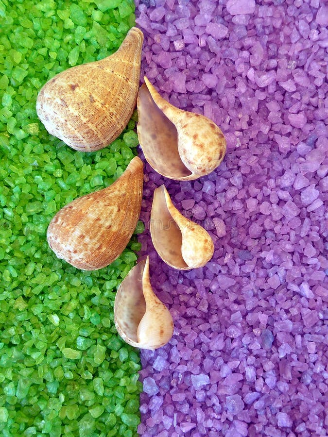 Bath salt and shells royalty free stock photography