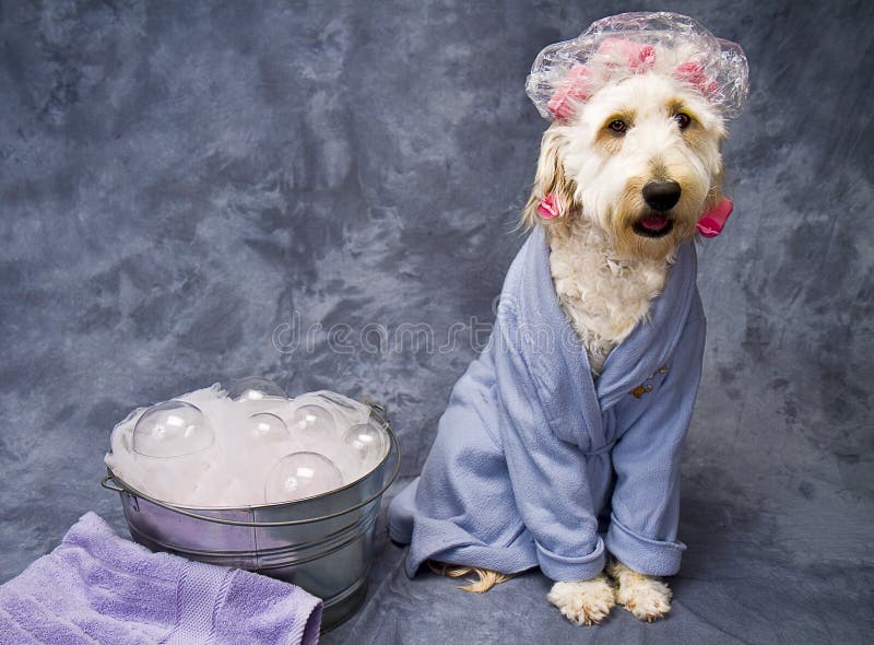 Golden-Haired Baths Time