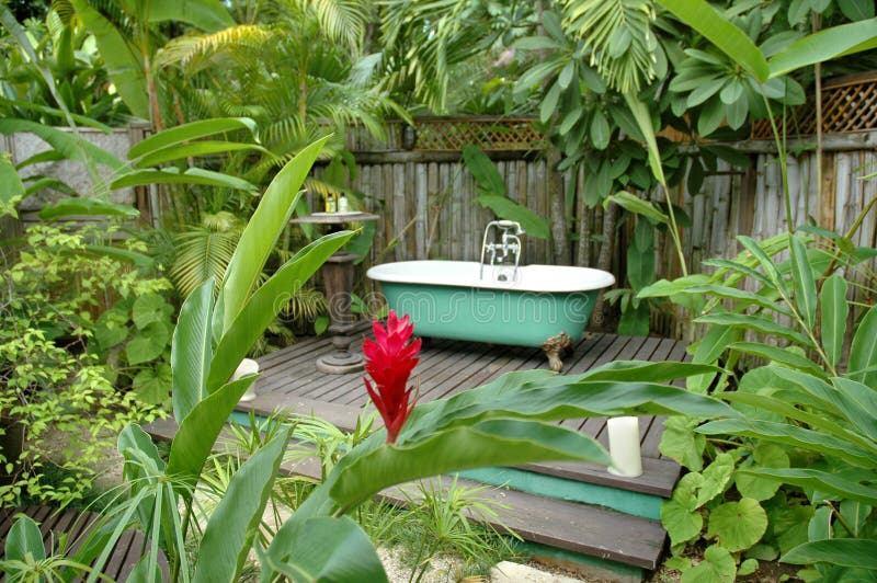 Bath Tub In The Rainforest Picture. Image: 5237822