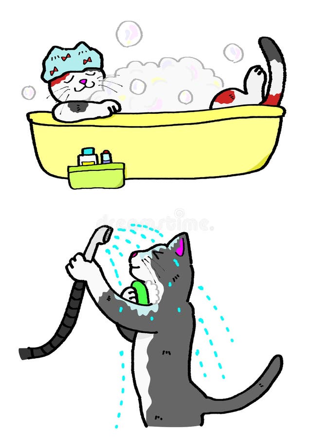 Bathing cats stock illustration. Illustration of cute 35339586