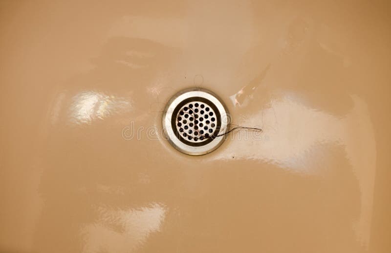 Bathroom Bathtub Sink Drain Protector Hair Catcher Stock Photo Image