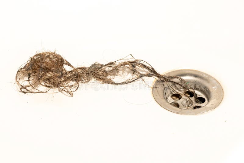 Bathroom Drain Clogged with Hair and Slime Stock Image Image of sink