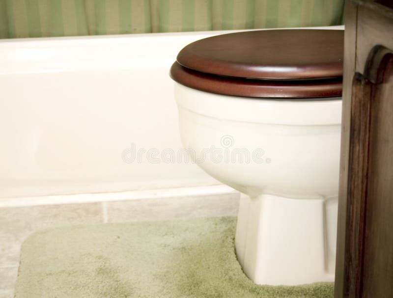 Bathroom Toilet and Shower Stall Stock Image Image of room, bath