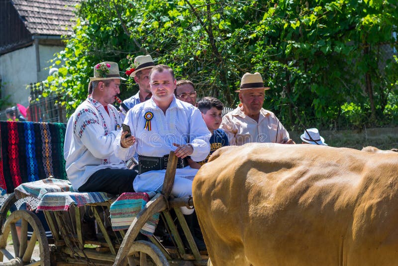Batin, Klausenburg/Romania-06 16 2019: Traditionelle Feier, Impanatul-boului oder Instrutatul-boului ‚ stockfotografie