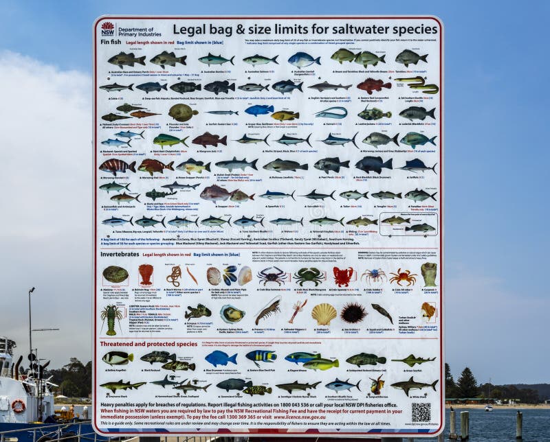 New South Wales Government Legal Bag And Size Limits For Saltwater Fish  Species Poster On Display At Port Eden New South Wales Australia Stock  Photo - Alamy