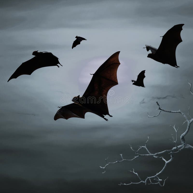 Bats flying at night stock photo. Image of night, freedom 46045188
