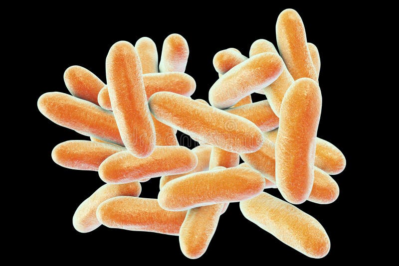 Batteri di legionella pneumophila illustrazione vettoriale Batteri di legionella pneumophila illustrazione vettoriale