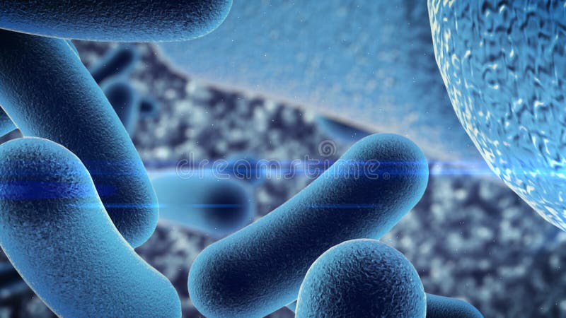 Batteri di un germe sotto il microscopio illustrazione vettoriale Batteri di un germe sotto il microscopio illustrazione vettoriale