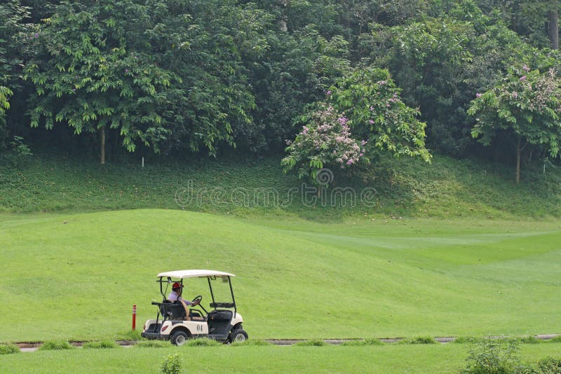 Battery car in golf course stock image. Image of floral 26208297