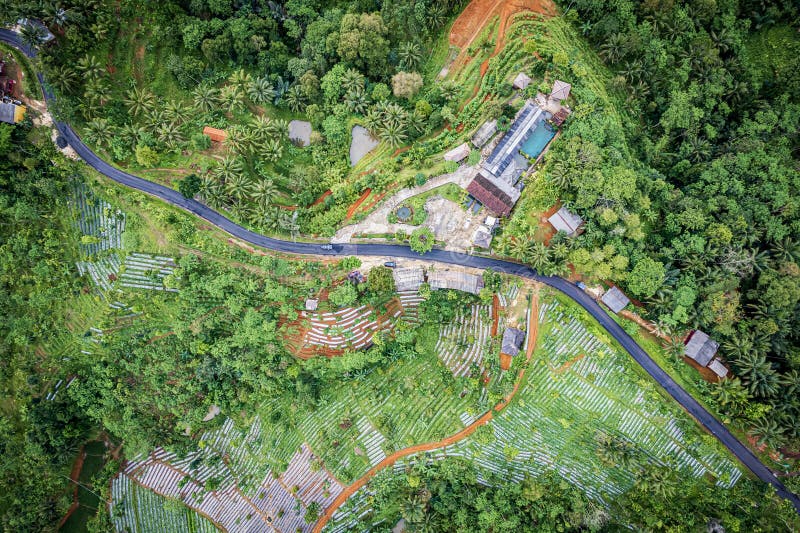 Batu karas pangandaran west java indonezja 14 zdjęcie stock