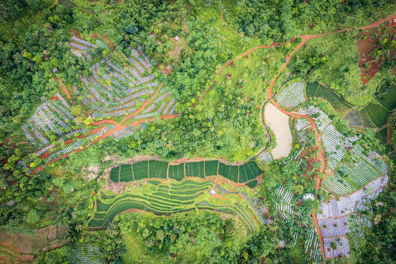 Batu karas pangandaran west java indonezja 15 zdjęcie stock