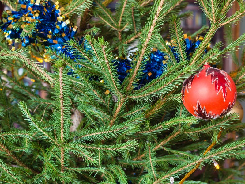 Bauble i świecidełko na gałązkach żywa choinka obrazy royalty free Bauble i świecidełko na gałązkach żywa choinka obrazy royalty free