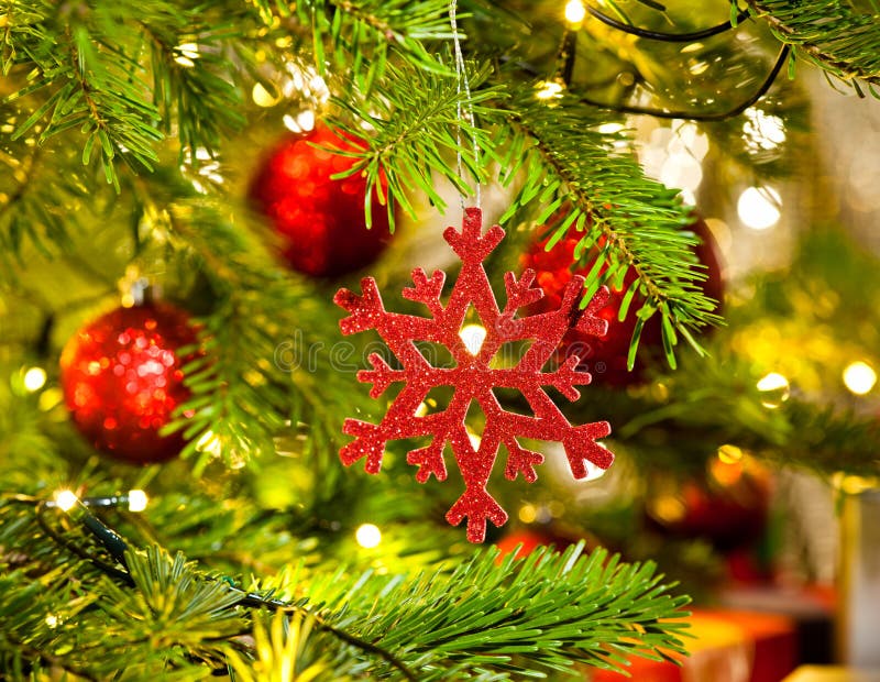 Bauble Ornament in a Real Christmas Tree Stock Photo Image of party