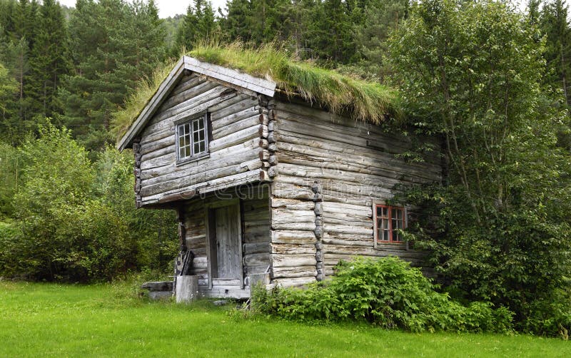 Bauen Sie Historisches Haus In Norwegen Mit Gras Auf Roo ...