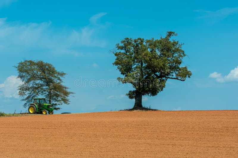 Bauernhoffeld mit einzigem Baum stockfotografie