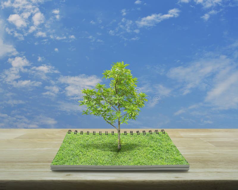 Baum, der von einem offenen Buch, ökologisches Konzept wächst stockfotografie Baum, der von einem offenen Buch, ökologisches Konzept wächst stockfotografie