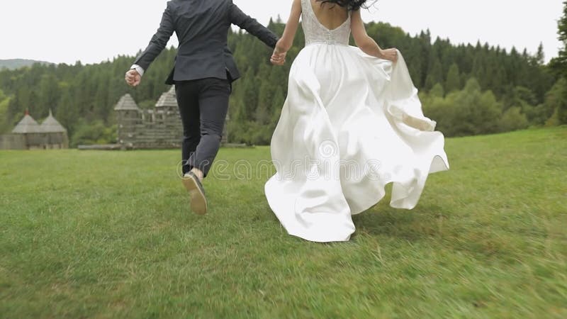 Baum mit Brautbetrieb Blick von hinten Hochzeitspaar Newlyweds