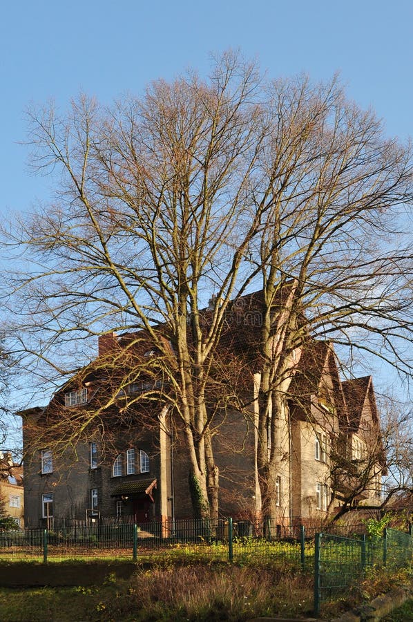 750,838 Baum Haus Fotos Kostenlose und RoyaltyFree StockFotos von