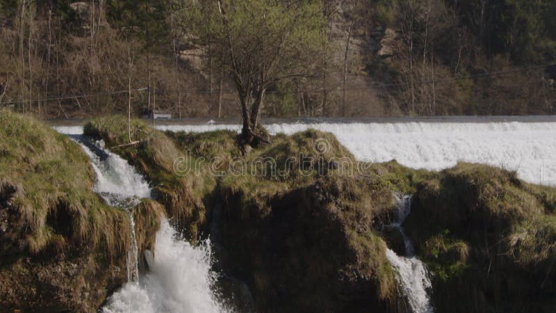 Baum zwischen Wasserkaskaden bei langsamer Fahrt